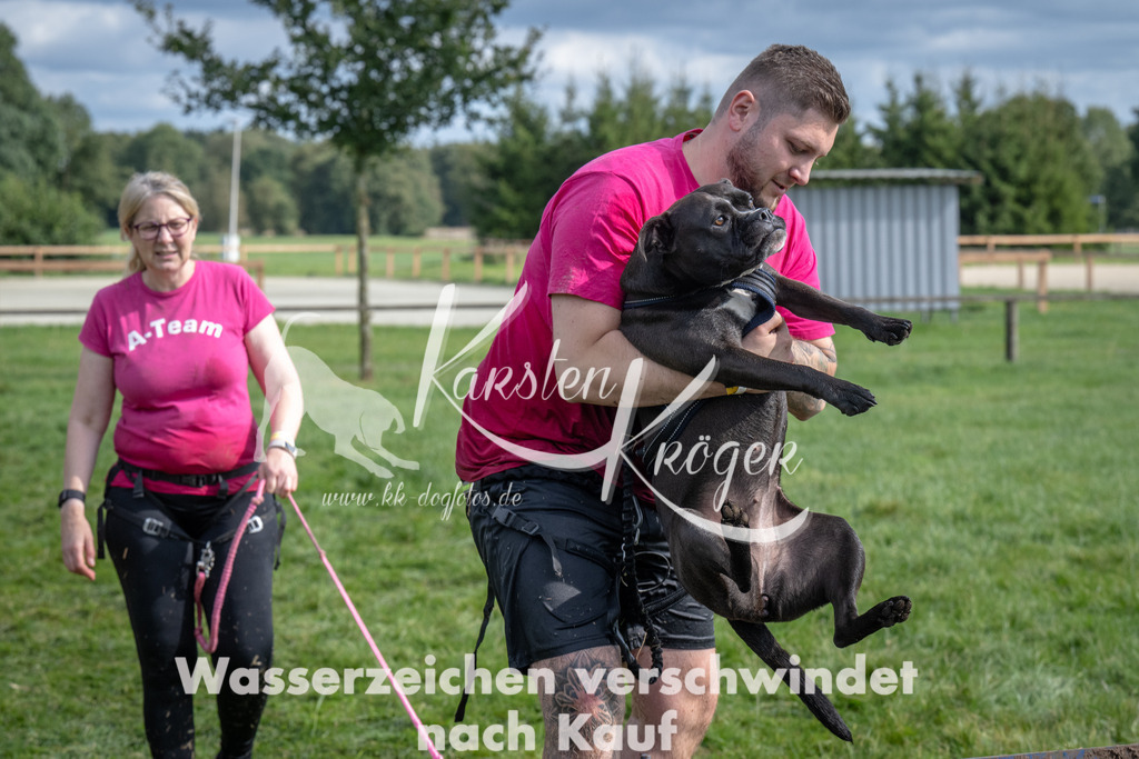 1417_ZZ91839 | kk-dogfotos