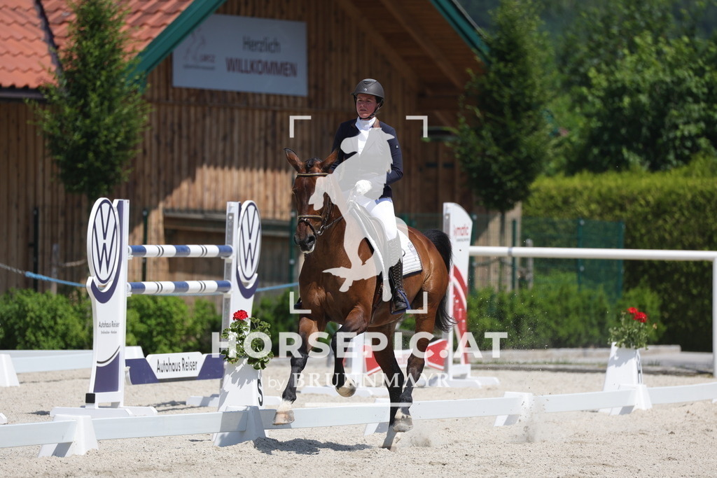 0P6A6069 | Willkommen bei Brunnmayr - Design & Fotografie – Ihrem Spezialisten für Reitturniere und Pferdeveranstaltungen in Oberösterreich, Salzburg und Bayern! Seit über 17 Jahren sind wir leidenschaftlich dabei.