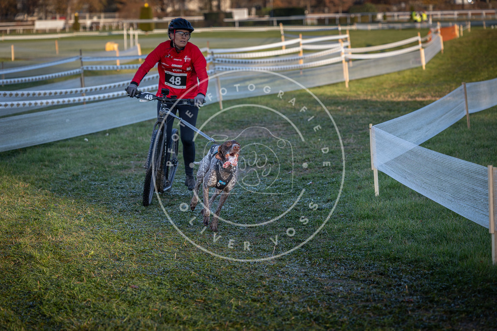 CaniXpix_0L8A2528 | Hundefotografie, Tierfotograf, Pfotenfotografie, Fotoshooting Hund, Hunde Portrait, Hundesport, Hundeportraits, Heideshooting, Hunde, Sportfotograf, Hundefotograf, Turnierhundsport, THS,  - Realisiert mit Pictrs.com