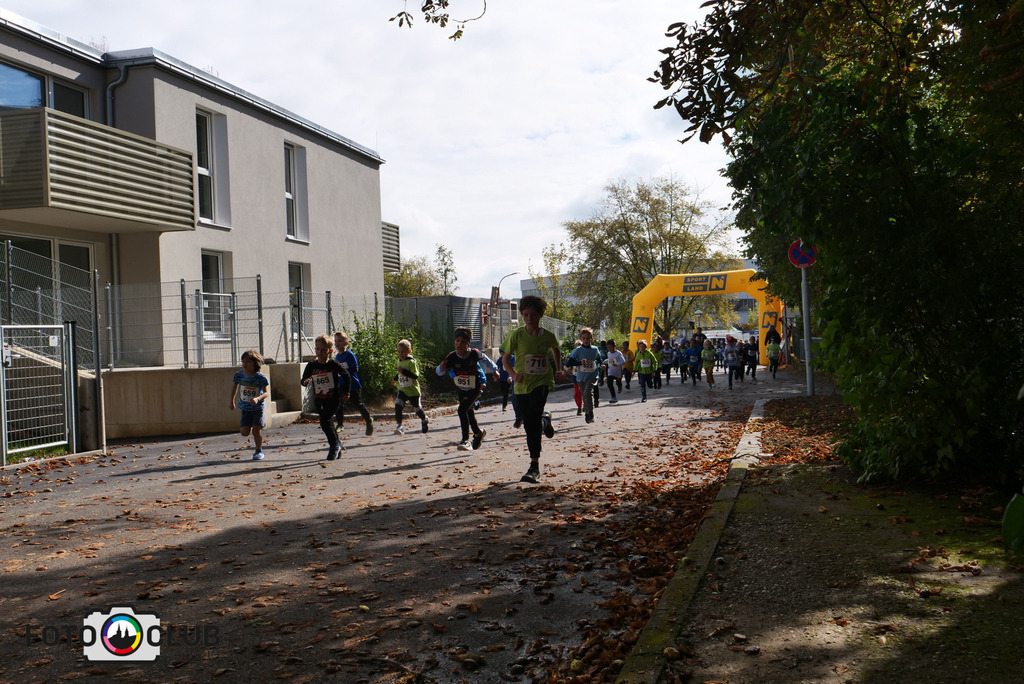 P1017464 | Foto Buchgraber