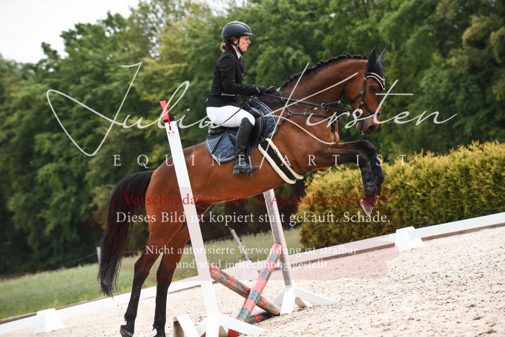 20230518_JK-Röhrsdorf-10-339 | Pferde- und Turnierfotografie in Westsachsen. Pferdeportraits, Auftragszeichnungen und intuitive Kunst.
