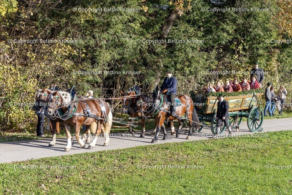 LBT24-117 | foto-bettina-krinner - Realisiert mit Pictrs.com