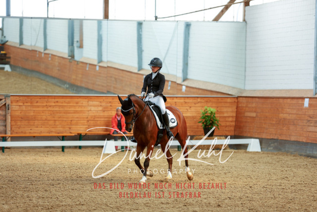 _62_6472 | Turniersportfotografie; Pferdefotografie; Dressurfotografie