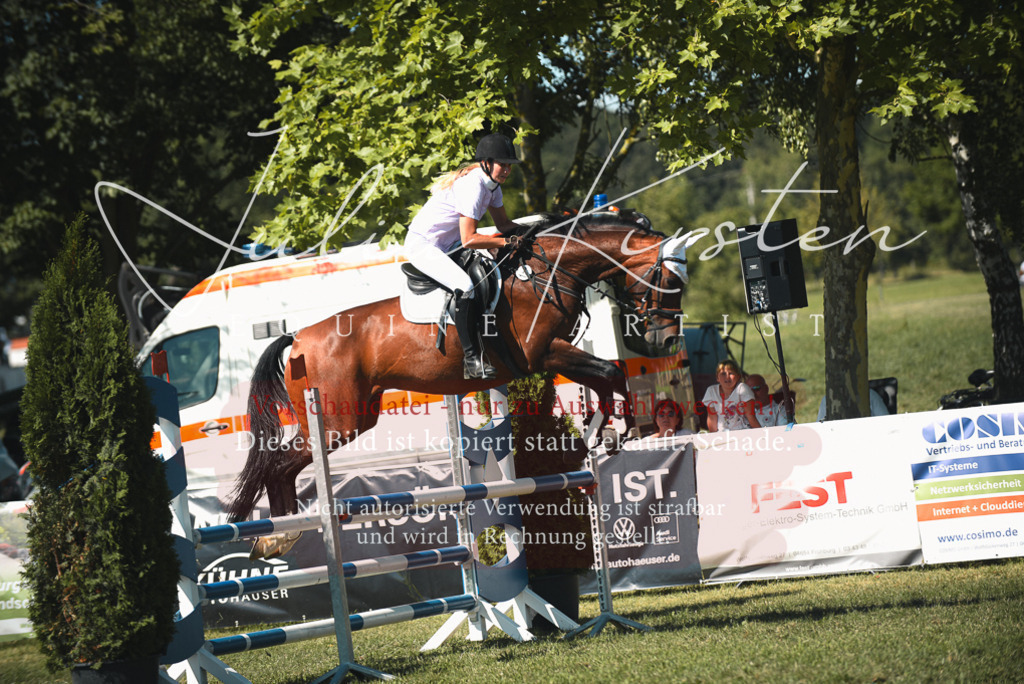 DSC_7172 | Pferde- und Turnierfotografie in Westsachsen. Pferdeportraits, Auftragszeichnungen und intuitive Kunst.