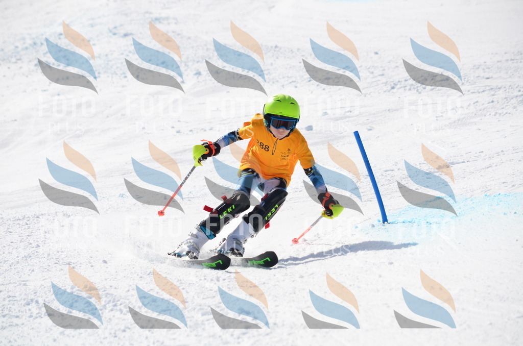 C8682 | holidayphoto