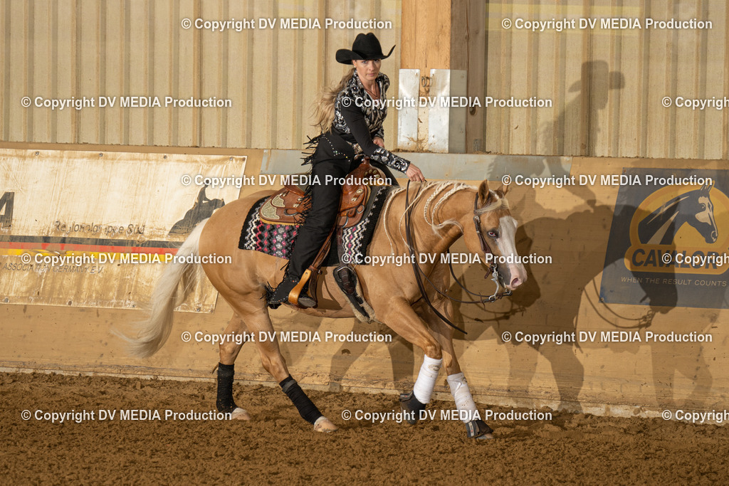 LAU01061 | dv-media-shop - Realisiert mit Pictrs.com