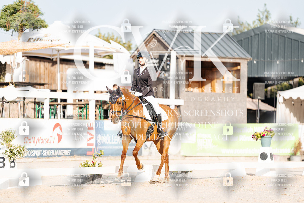 CK903824 | Turnierfotografie Pferdefotografie Trier Rheinland-Pfalz Pferdesport Reitsport Tierfotografie Sportfotografie Pferdevideo Pferdevideografie Equestrianvideography equestrianphotography  - Realisiert mit Pictrs.com