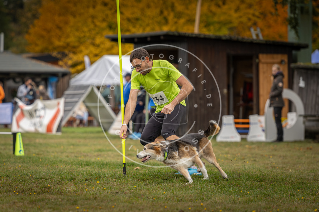 Pfotenfotografie_DV3A4867 | Hundefotografie, Tierfotograf, Pfotenfotografie, Fotoshooting Hund, Hunde Portrait, Hundesport, Hundeportraits, Heideshooting, Hunde, Sportfotograf, Hundefotograf, Turnierhundsport, THS,  - Realisiert mit Pictrs.com