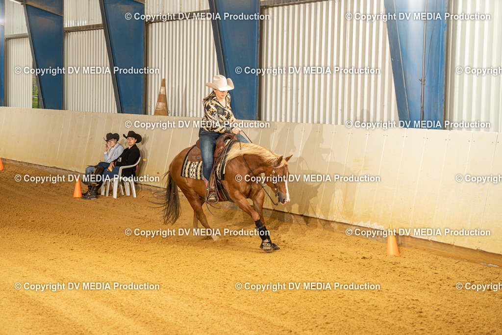 MIT00526 | dv-media-shop - Realisiert mit Pictrs.com