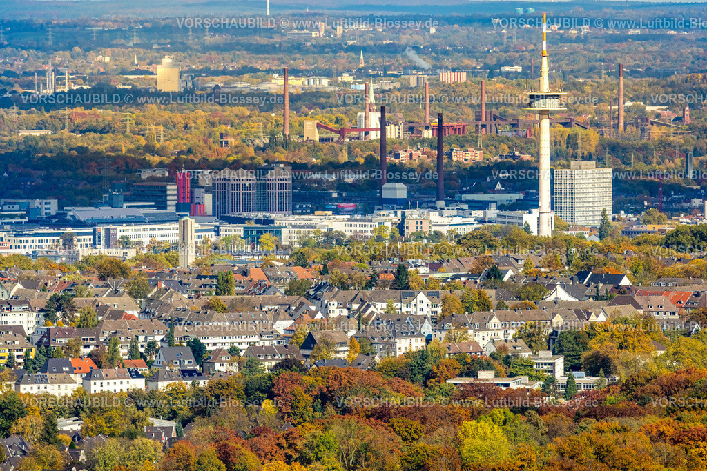 Essen251003594Mitte | Luftbild, Skyline Essen mit Telekom Fernmeldturm und Weststadttürme WST, herbstliche Bäume, Funkturm, Stadtkern, Essen, Ruhrgebiet, Nordrhein-Westfalen, Deutschland