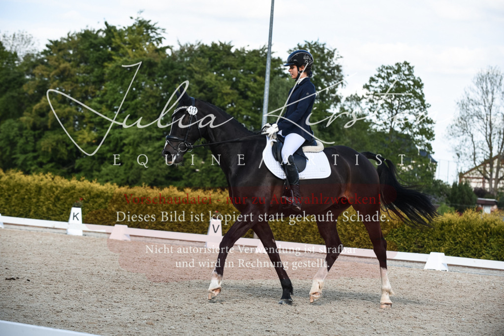 20230518_JK-Röhrsdorf-12-0854 | Pferde- und Turnierfotografie in Westsachsen. Pferdeportraits, Auftragszeichnungen und intuitive Kunst.