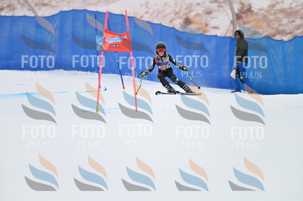 BGV_2761 | holidayphoto