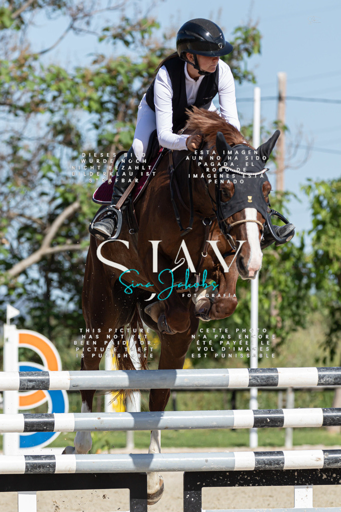 IMG_0960 | s-jay-photography - Realisiert mit Pictrs.com