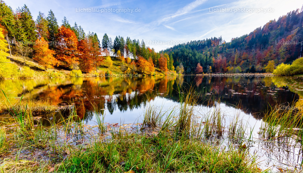 Schöner See im Süd Schwarzwald | Der Nonnenmattweiher ist ein mittels Damm aufgestauter See mit einer Moor- bzw. Torfinsel und ein ihn und seine Umgebung umfassendes namensgleiches Naturschutzgebiet im Südschwarzwald und Naturraum Hochschwarzwald in Baden-Württemberg.  - Realisiert mit Pictrs.com