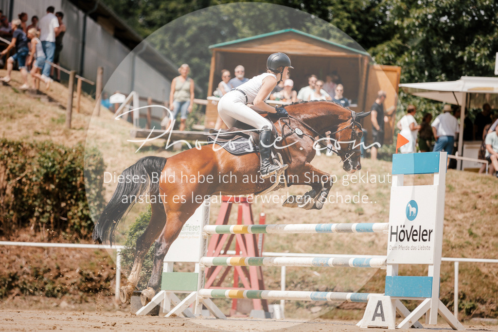 3I6A7821 | Stimmungsvolle Portraits und Reitsportfotografie im Ruhrgebiet und im Münsterland.

Pferdefotografie, Hundefotografie, Tierfotografie, Reportagen, Portraits von Tier und Mensch, Turnierfotografie in Bochum, Recklinghausen, Marl, Haltern am See, Dülmen.. - Realisiert mit Pictrs.com