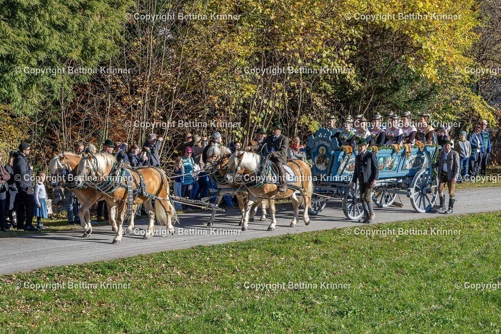 LBT25-372 | foto-bettina-krinner - Realisiert mit Pictrs.com