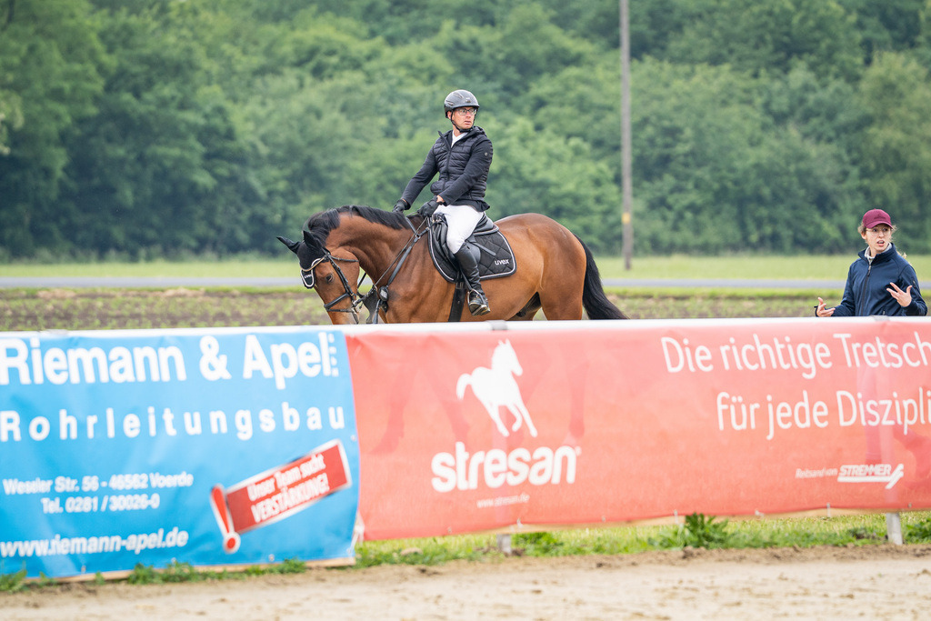 DSC09775 | Pferdegrafie