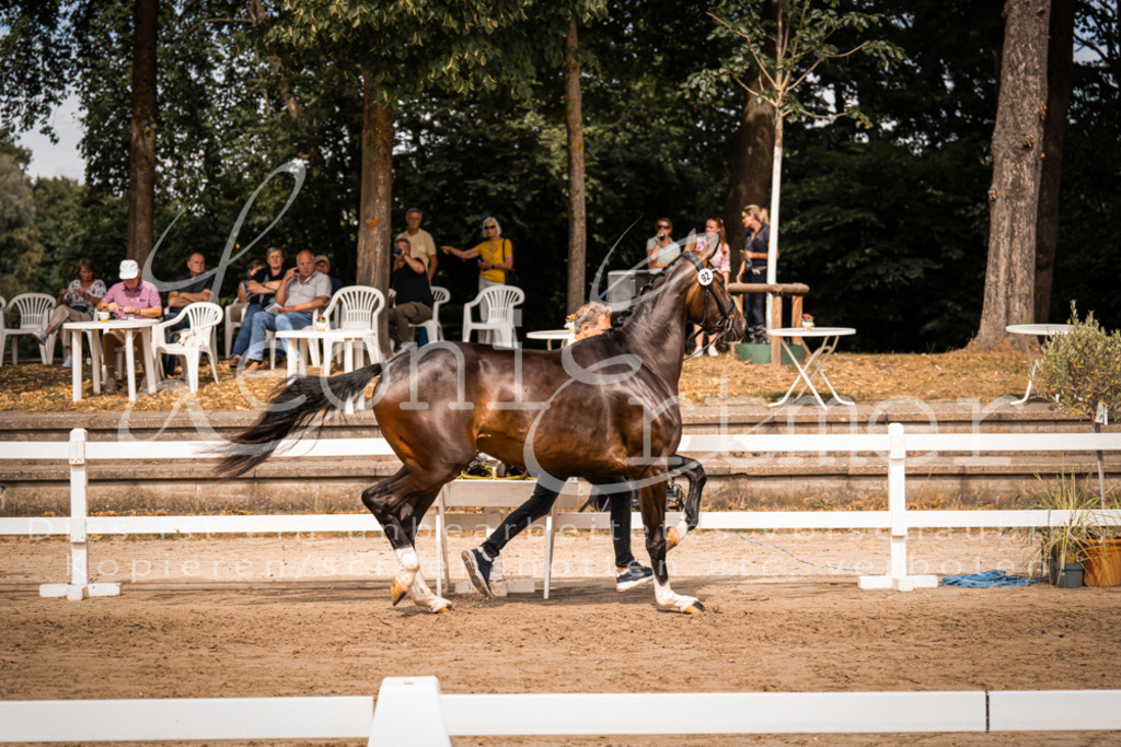 6.Fr00009 | Leoni Ertmer Photography - Realisiert mit Pictrs.com