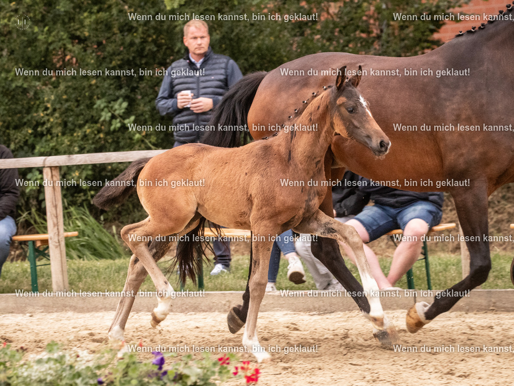 A10I6175 | photographylinaismer - Realisiert mit Pictrs.com