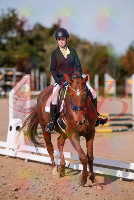 2026_10_03_Siefer-Hof_114133_Z81_84660608 | Professionelle Reitsport-, Turnier- und Eventfotografie von Robert Broda. Galerien mit ausgewählten und bearbeiteten Bildern direkt online ansehen und bestellen.