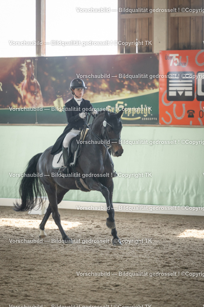 _D5A1059 | Emotionale Pferde- & People-Fotografie rund um Heidelberg, Leimen & Umgebung. Natürliche Fotos von Pferd, Mensch & Familie. Jetzt Termin sichern!