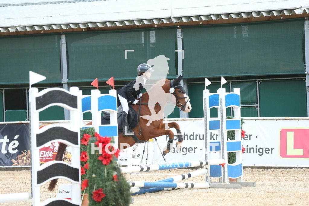 DL2Q4083 | Willkommen bei Brunnmayr - Design & Fotografie – Ihrem Spezialisten für Reitturniere und Pferdeveranstaltungen in Oberösterreich, Salzburg und Bayern! Seit über 17 Jahren sind wir leidenschaftlich dabei.