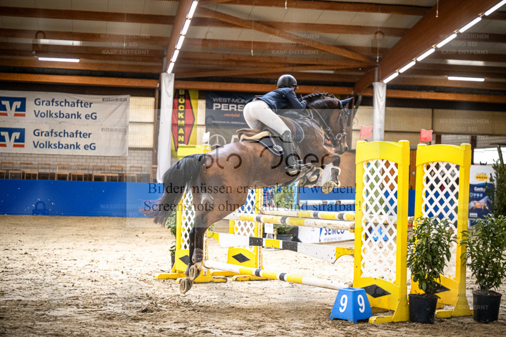 DOS_2143 | Entdecke hochwertige Reitturnierfotos von Foto Oger. Professionell, emotional und authentisch – jetzt Lieblingsmomente im Shop bestellen. - Realisiert mit Pictrs.com