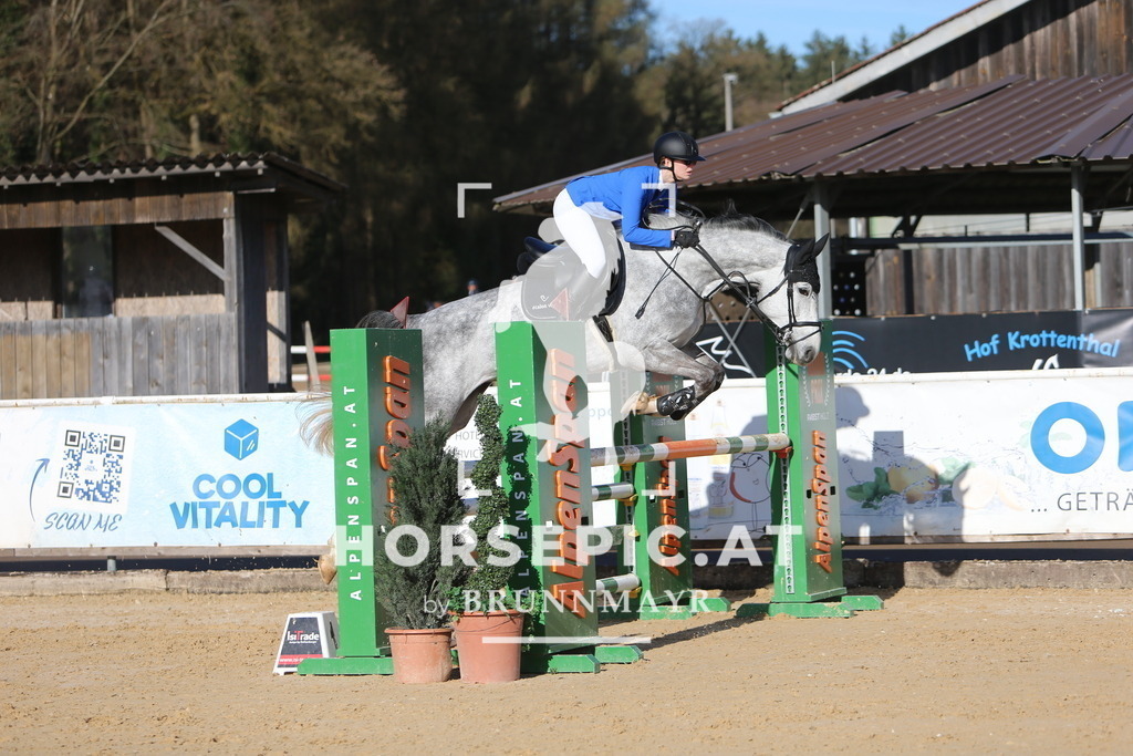 DL2Q3801 | Willkommen bei Brunnmayr - Design & Fotografie – Ihrem Spezialisten für Reitturniere und Pferdeveranstaltungen in Oberösterreich, Salzburg und Bayern! Seit über 17 Jahren sind wir leidenschaftlich dabei.