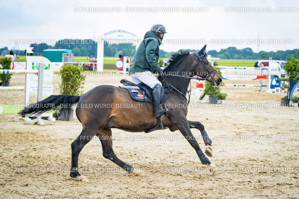 DSC00702 | Pferdegrafie