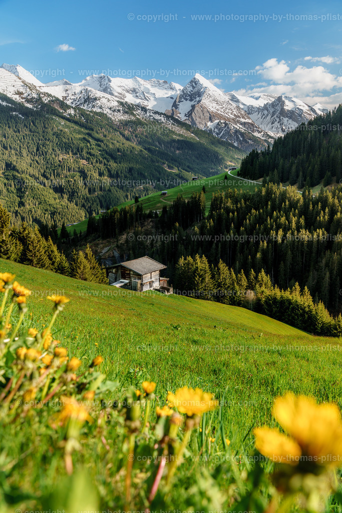 Vorderlanersbach im Frühling copyright  Thomas Pfister-5 | PHOTOGRAPHY BY THOMAS PFISTER