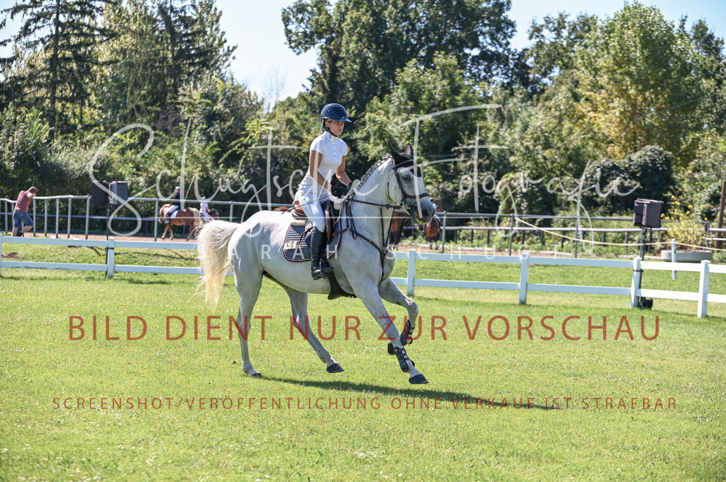 Schugtsche-Düren.2024.03-Springpferde.L-29 | Schugtsche Fotografie - Realisiert mit Pictrs.com