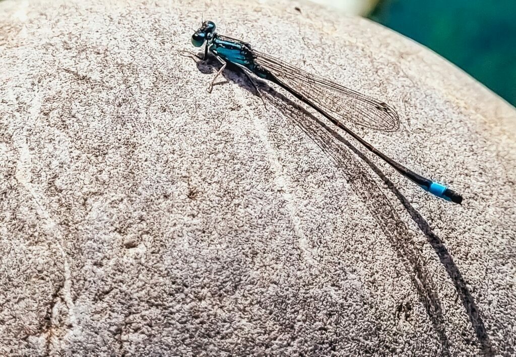 PSX_20220817_232513 | mtkfoto_ - Realisiert mit Pictrs.com