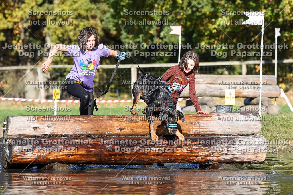 Dog Paparazzi - Strongdog 10-25-8926 | Dog Paparazzi Jeanette Grottendiek Fotografie & Videografie - Realisiert mit Pictrs.com