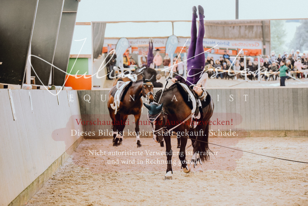 DSC_6880 | Pferde- und Turnierfotografie in Westsachsen. Pferdeportraits, Auftragszeichnungen und intuitive Kunst.