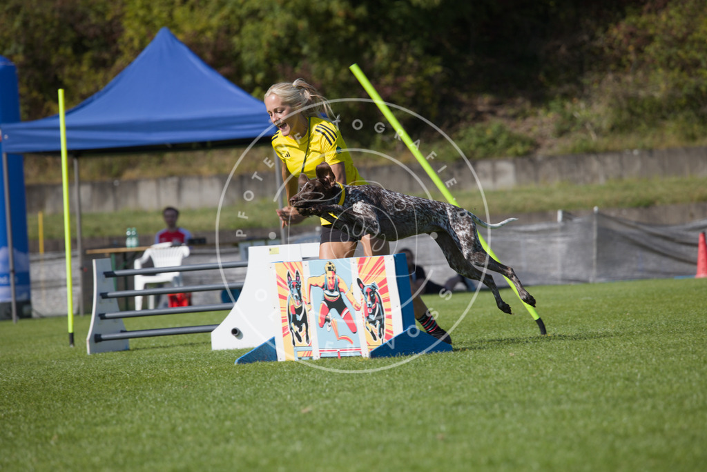 0L8A7806 | Hundefotografie, Tierfotograf, Pfotenfotografie, Fotoshooting Hund, Hunde Portrait, Hundesport, Hundeportraits, Heideshooting, Hunde, Sportfotograf, Hundefotograf, Turnierhundsport, THS,  - Realisiert mit Pictrs.com