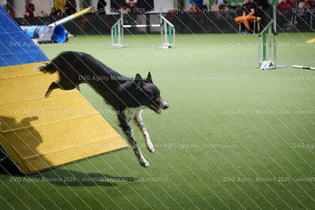allesWIRTHgut_Tierfotografie-DVG_Agility_Masters_2026-16_57-7R509072 | Professionelle Tierfotografie in Mönchengladbach von Daniel Wirth (allesWIRTHgut). Liebevolle & natürliche Bilder von Hunden & Katzen für unvergessliche Erinnerungen.