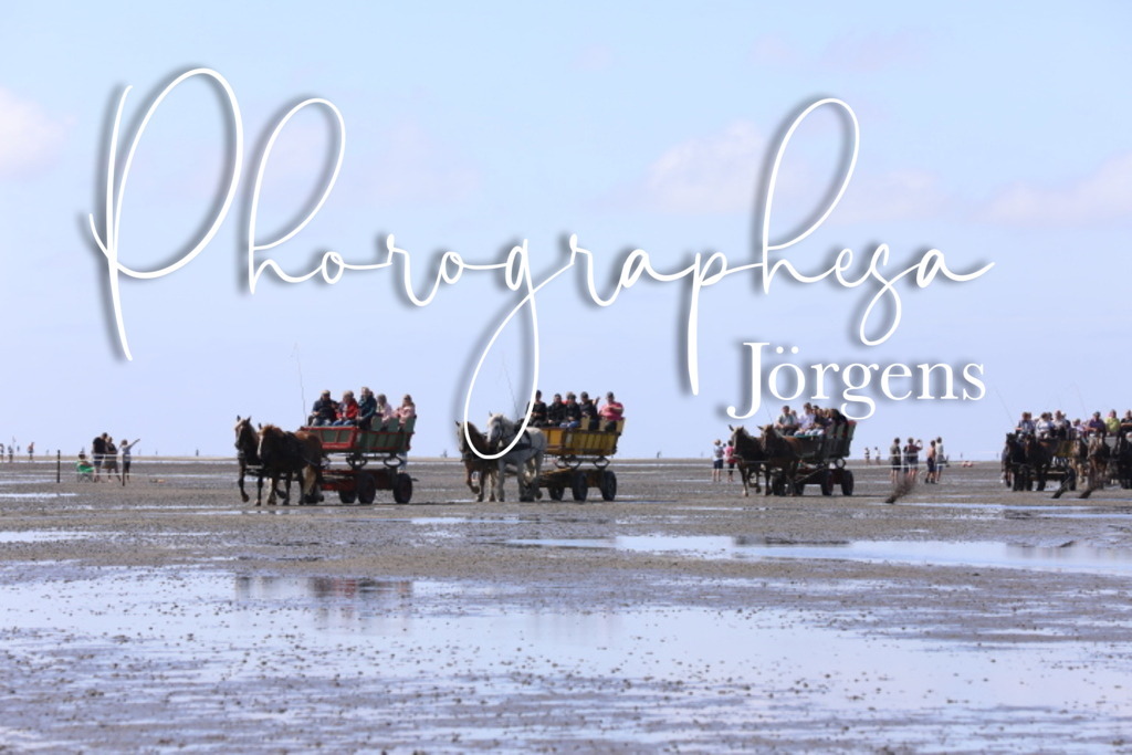 IMG_9534 | photographesa-joergens - Realisiert mit Pictrs.com