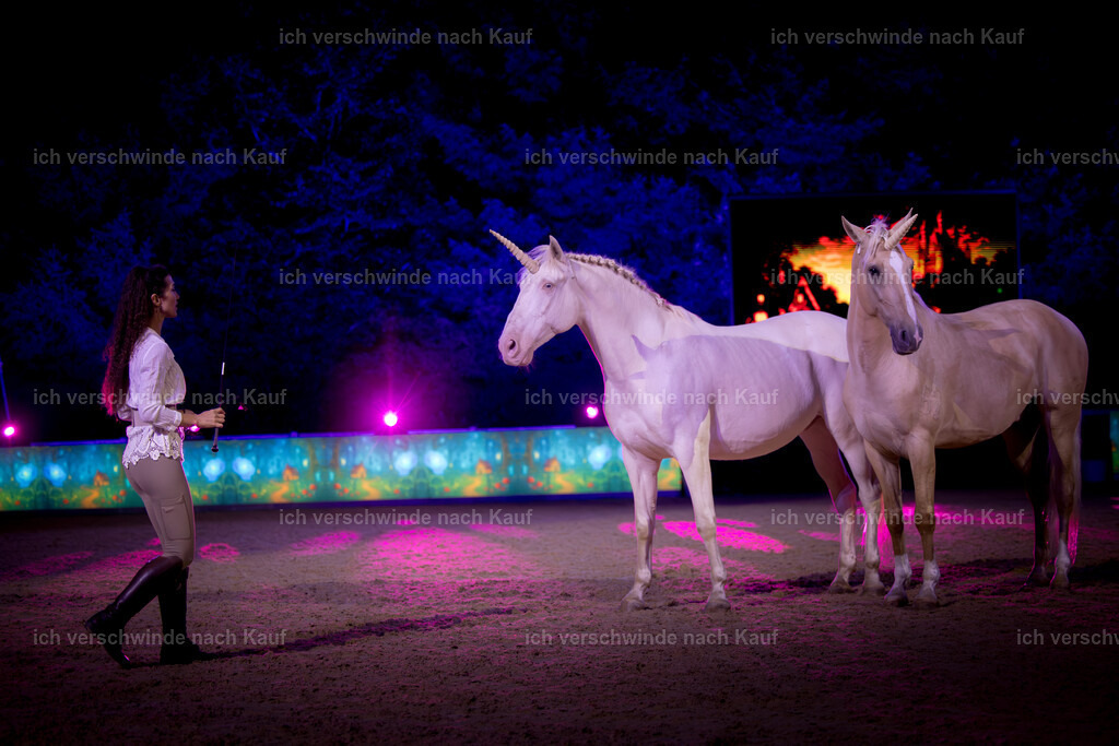 Gala-453 | working equitationturnier fotograf videograf stoibphotography marixx film working equitation deutschland reitsport turnierfotografie eventfotografie equestrian events