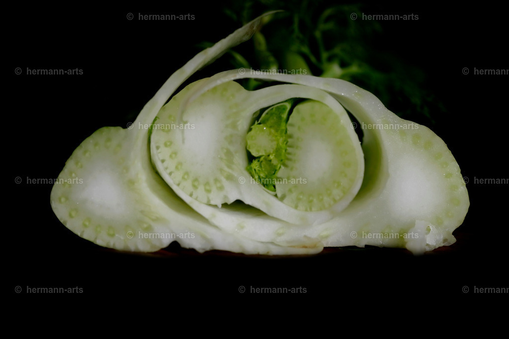 Fruits-Art-037 | Photo Foto Kunst Art schwarzweiss Bilder Rheine Münster Berlin Blumen 