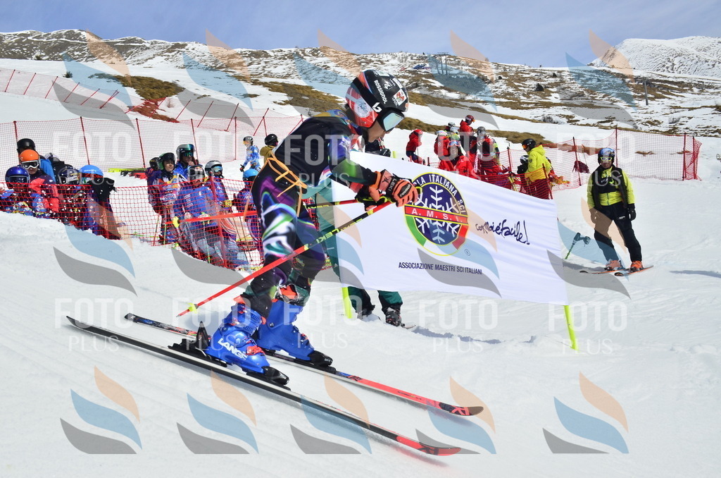 _ELE1537 | holidayphoto