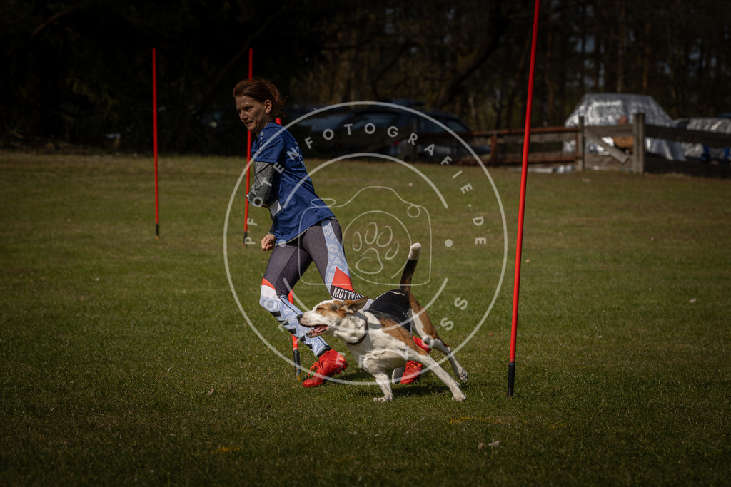 Pfotenfotografie_DV3A4475 | Hundefotografie, Tierfotograf, Pfotenfotografie, Fotoshooting Hund, Hunde Portrait, Hundesport, Hundeportraits, Heideshooting, Hunde, Sportfotograf, Hundefotograf, Turnierhundsport, THS,  - Realisiert mit Pictrs.com
