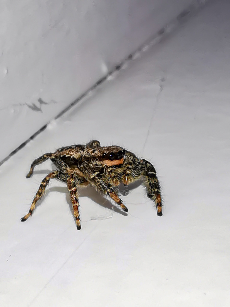 PSX_20230822_230252 | mtkfoto_ - Realisiert mit Pictrs.com