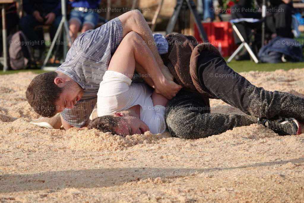 DSC03574 | Schwingen - Realisiert mit Pictrs.com