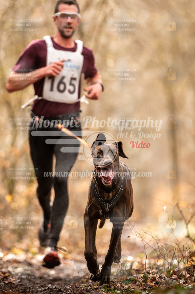 Reiat2023_SON_CaniXRun_5km_M-3 | PayLife