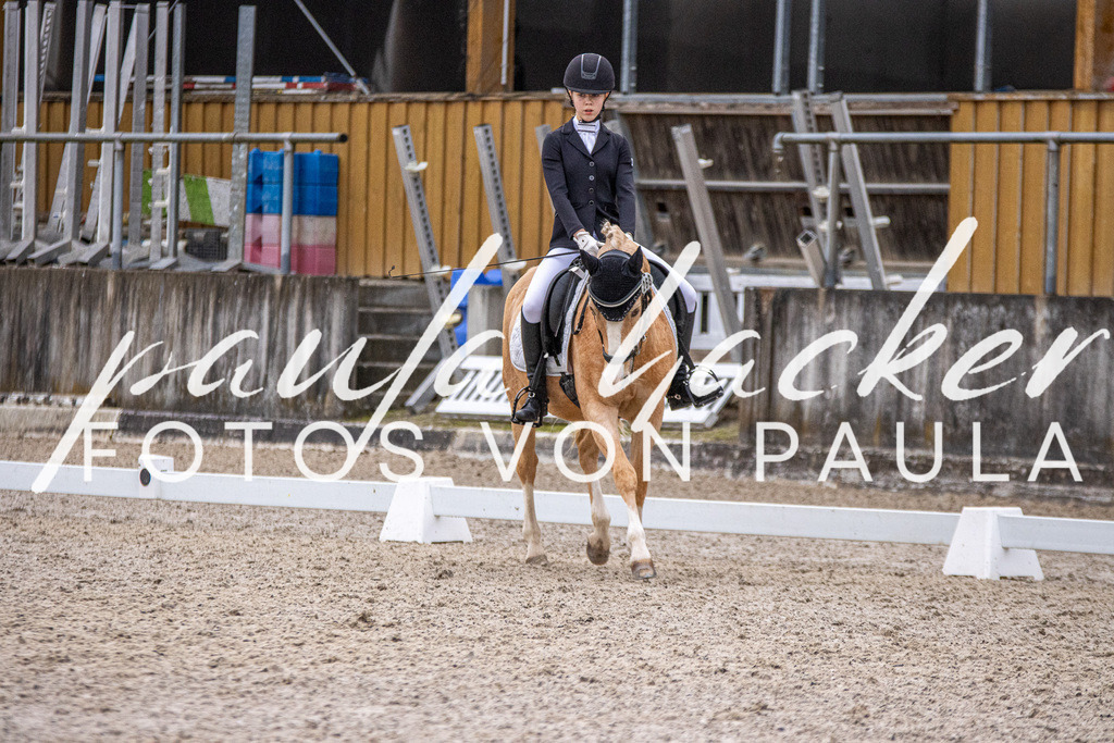IMG_2578 | Erleben Sie dynamische Sport- und emotionale Tierfotografie in Süddeutschland mit Fotos von Paula. Spezialisiert auf Pferde- und Hundefotografie sowie Sportevents. Kontaktieren Sie mich für einzigartige und ausdrucksstarke Bilder Ihrer besonderen Momente. - Realisiert mit Pictrs.com