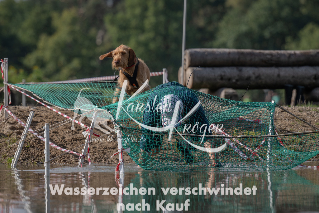 1200_ZZ94819 | kk-dogfotos