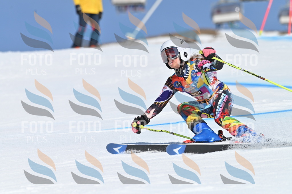 BGV_8855 | holidayphoto