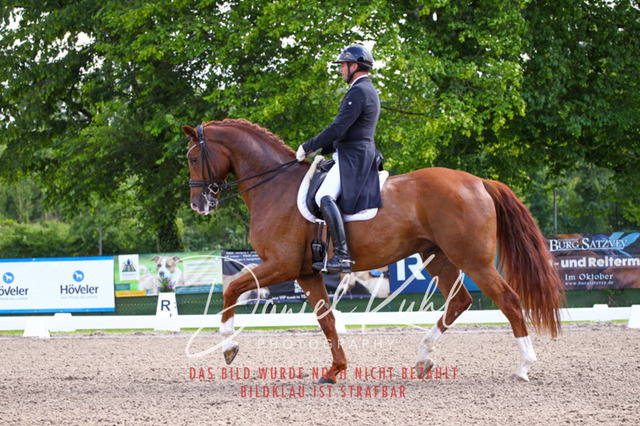 DKP41310 | Turnierfotos kaufen im Webshop von Daniel Kuhl Photography – entdecke professionelle Reitsportfotos aus Turnieren & Events. Hochwertige Turnierbilder online bestellen & sichern. Jetzt Fotos von Reitsportturnieren kaufen!