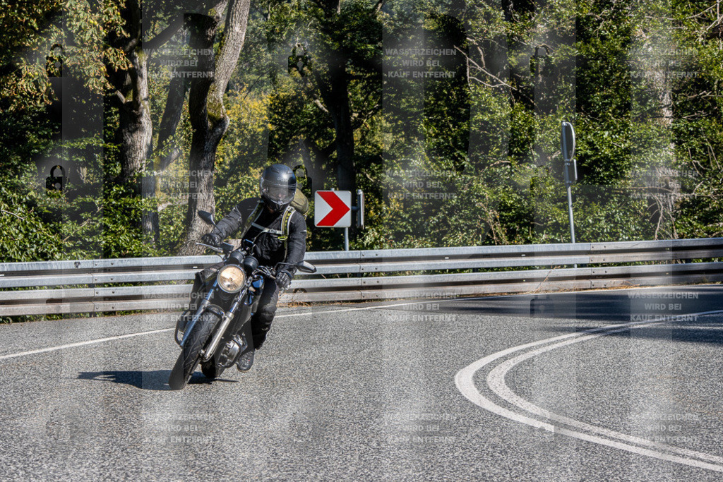 IMG_1530 | jrph - Realisiert mit Pictrs.com