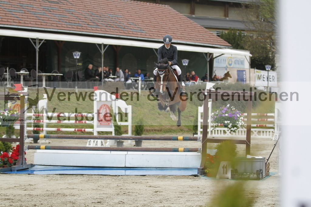 _MG_2920 | equestrian-live-com